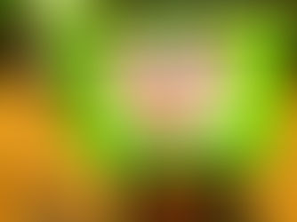 อสม. ยโสธร ผุด "Grab Drug" ส่งยาบ้านป้องกัน COVID-19