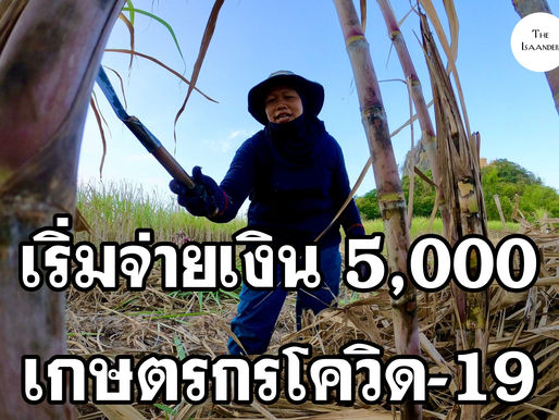 5,000 บาท รัฐเริ่มเยียวยาเกษตรกรช่วงโควิด-19