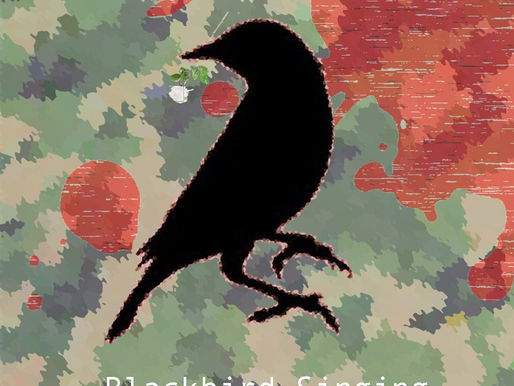 Blackbird Singing