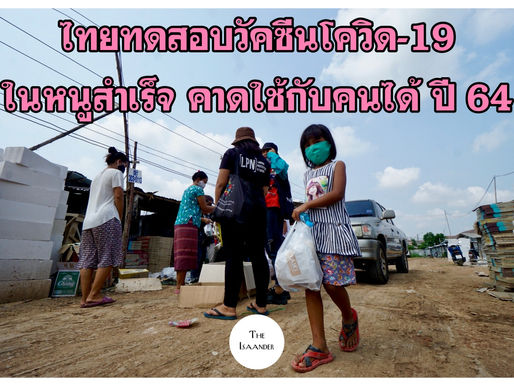 ไทยทดลองใช้วัคซีนโควิด-19 กับหนูสำเร็จ คาดทันใช้กับคนปี 64