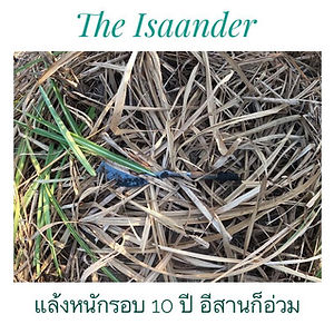 รมว.ทรัพยากรฯ ระบุ ไทยจะแล้งที่สุดในรอบ 10 ปี