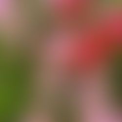 使う筋肉は発達する