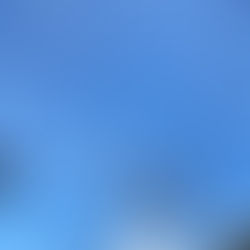 夏の甲子園、はじまる