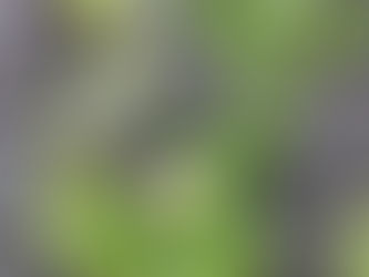 イラストについての記事
