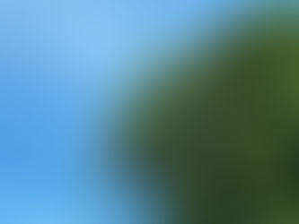 描きたい景色
