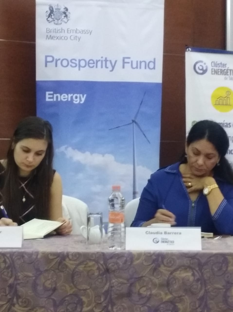 EPI Energía Participación Inclusión.