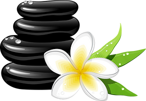 plumeria-clipart-31_edited.png