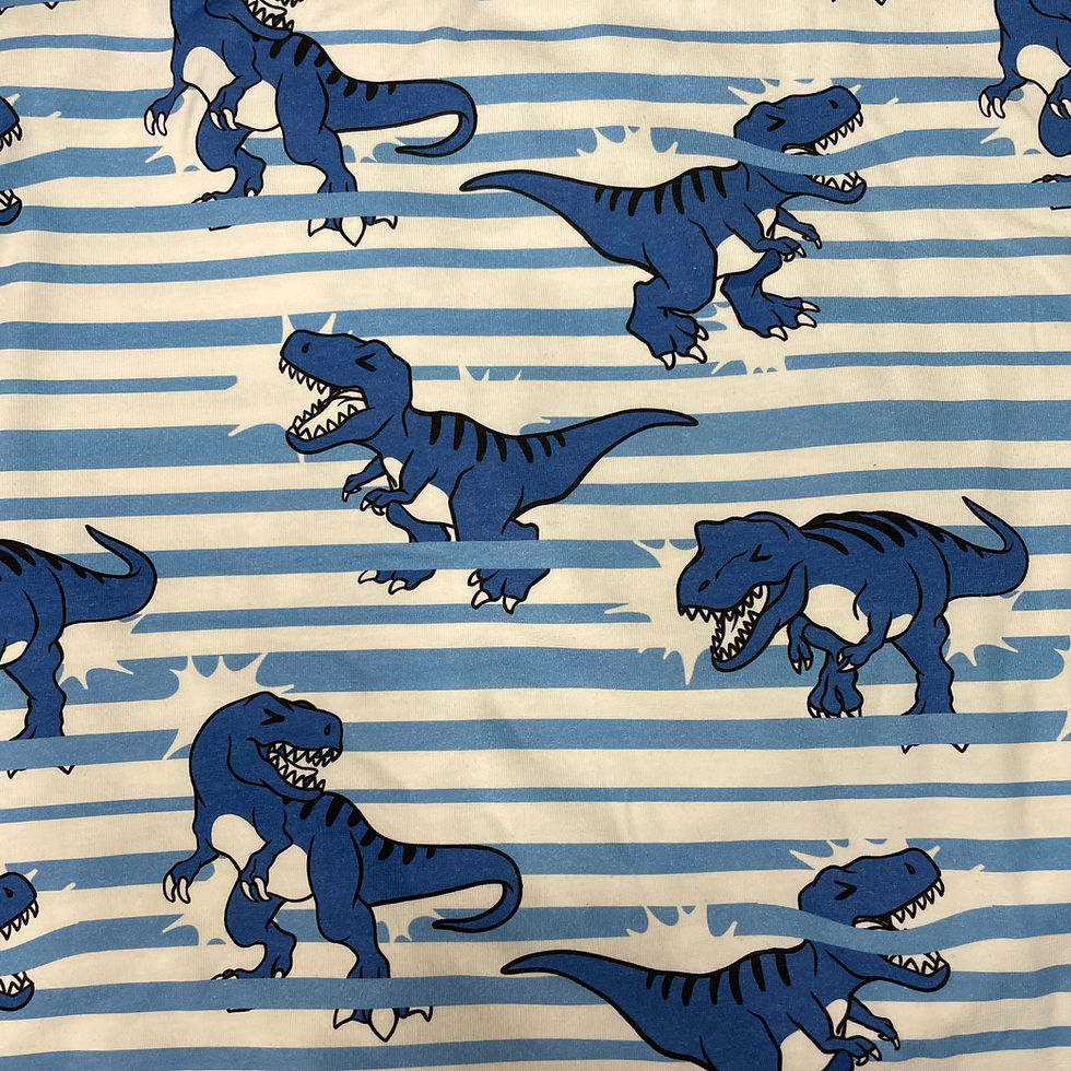Thumbnail: Dino Stripe Mum Bums