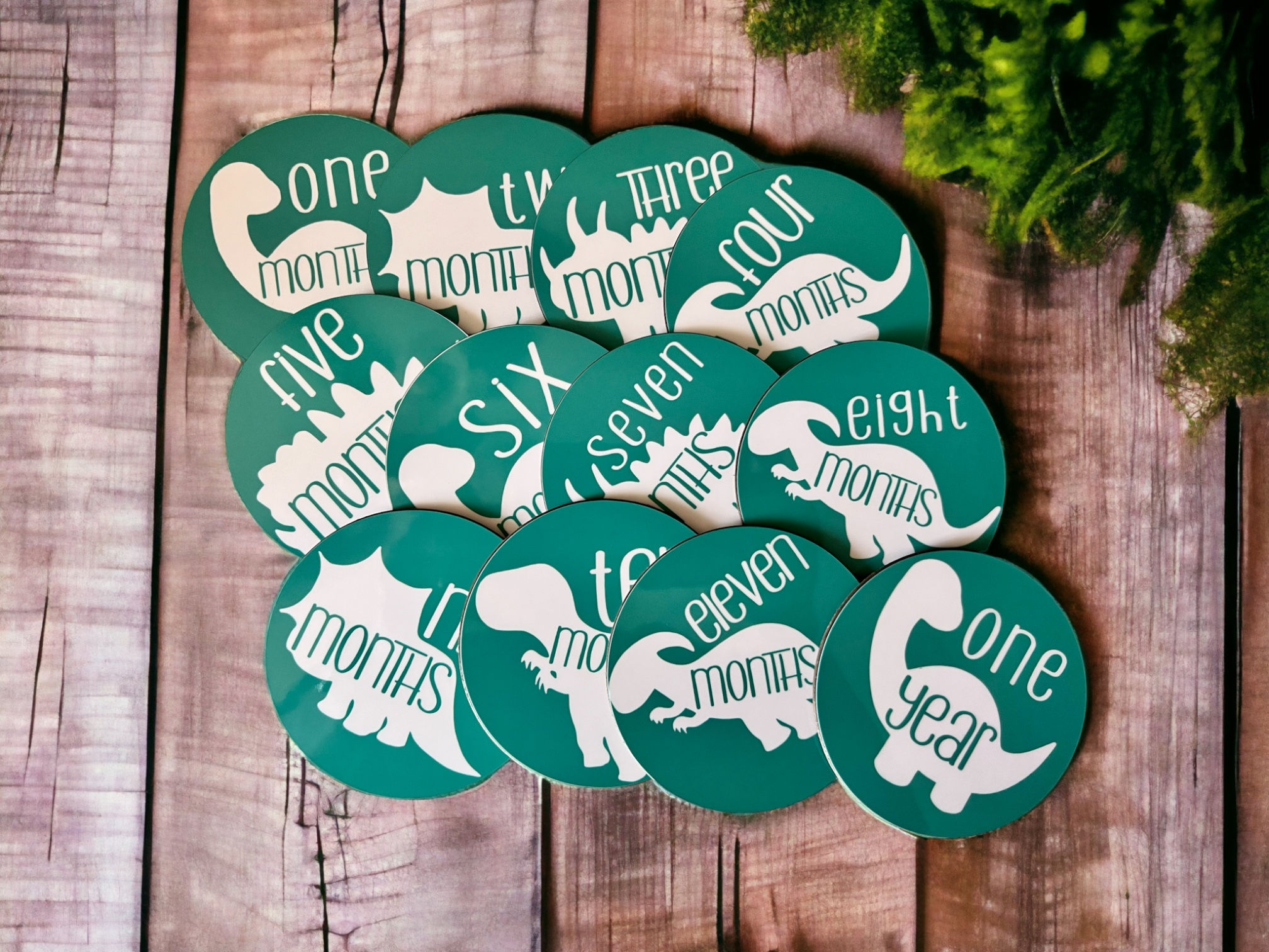 First Year Adventures