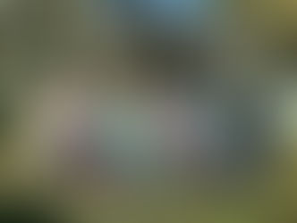 Бджілки спати полягали, але медом частували