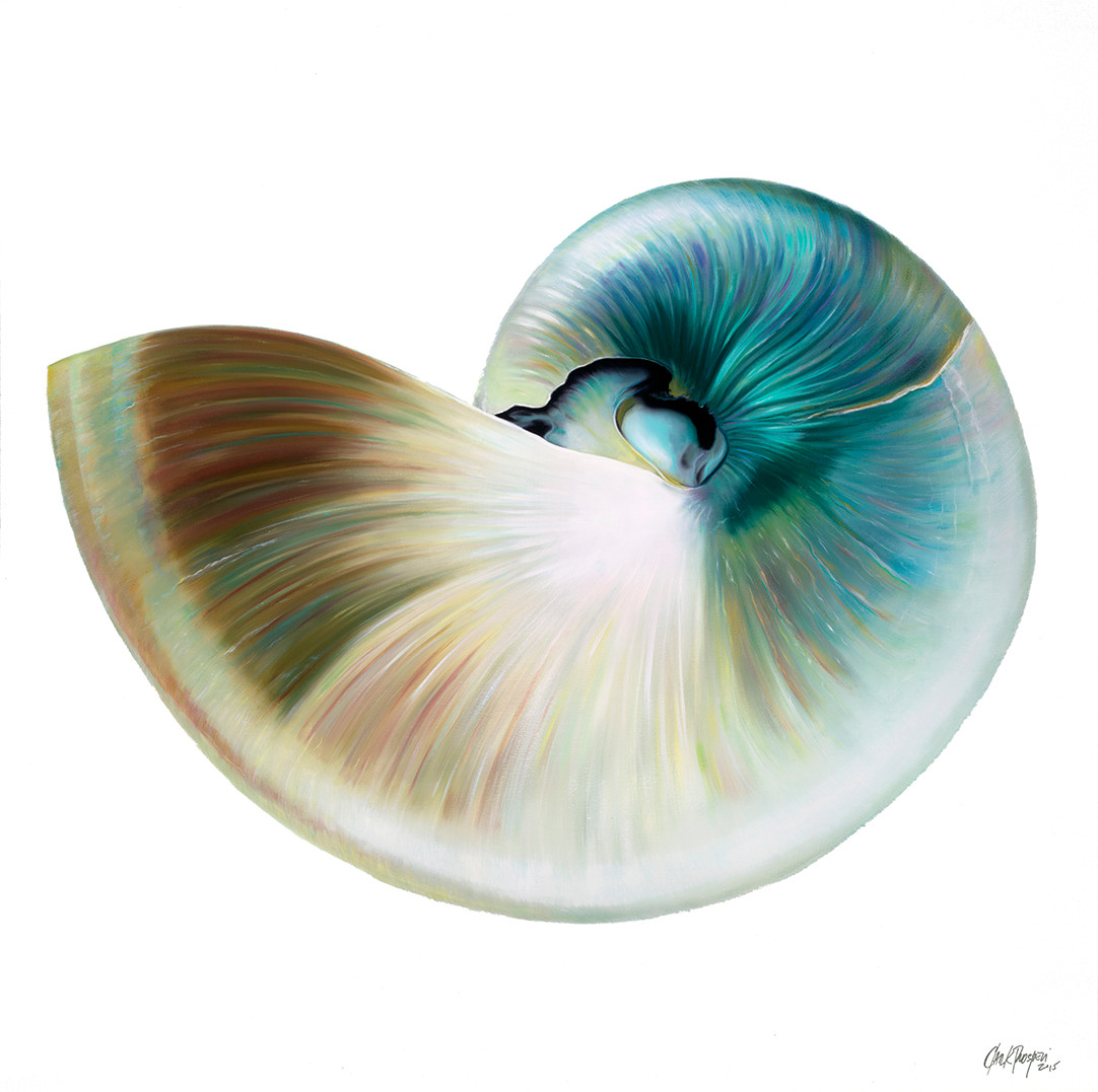 Ocean Ballet 40" x 40" Giclee on canvas