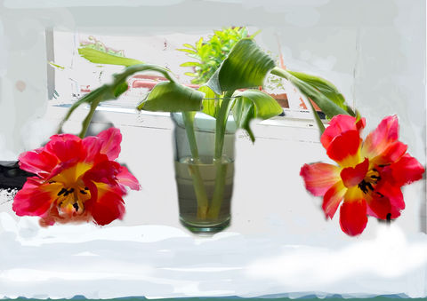 De-Flowered - Aftermath of Rape