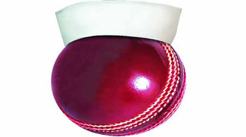 The Great Indian Political Game in Cricket