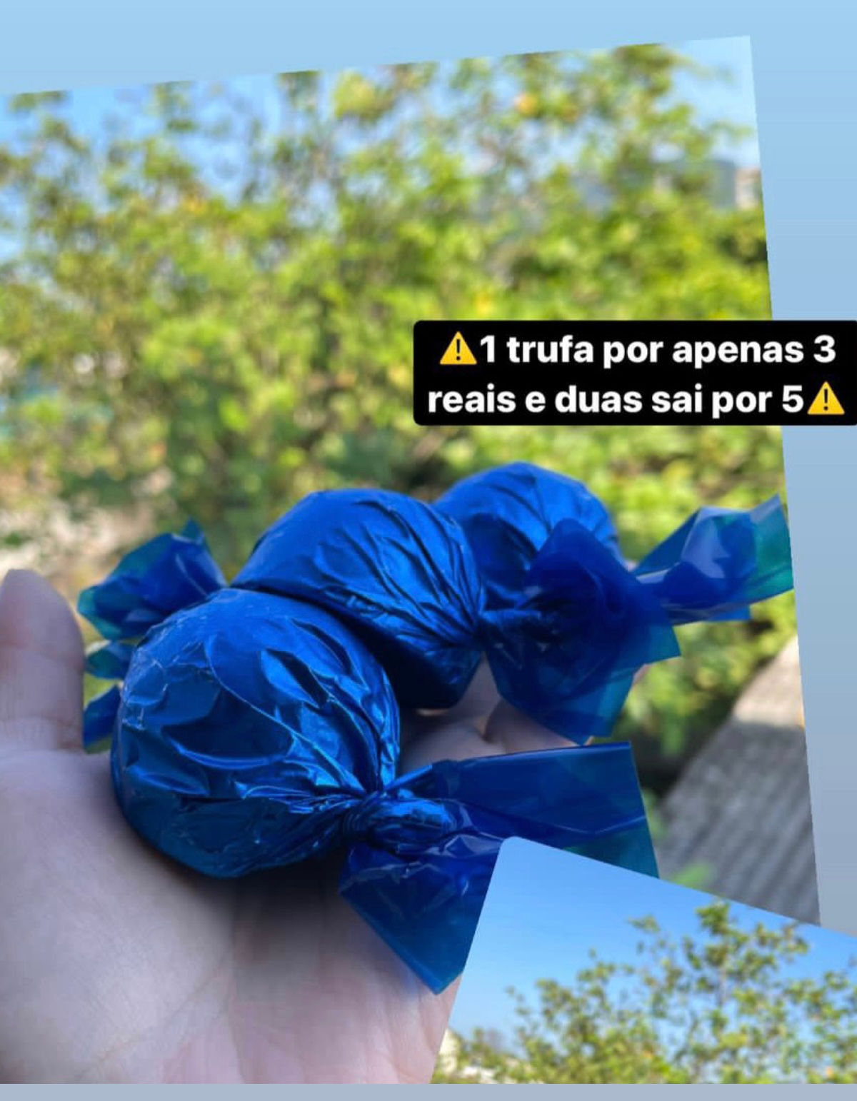 Trufa
