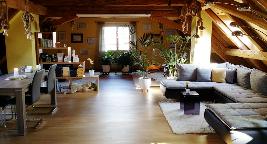 Wunderschöne Praxis für Einzelsitzungen, Vorträge und Seminare. Firma Lifepower GmbH in Höri. Gründerin und Inhaberin Franziska Keller l Hypnosetherapie und Gesprächstherapie