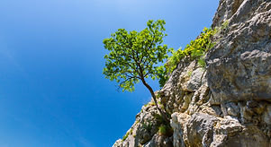 AdobeStock_123834844.jpeg