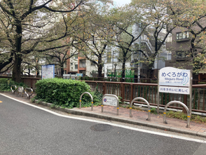 中目黒店舗改修工事 1