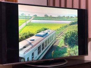 鹿島鉄道と玉造駅 2