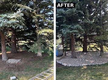tree_rock_before_after_originals.jpg