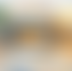 Why Crate Training Is a Gift—Not a Punishment—for Rescue Dogs