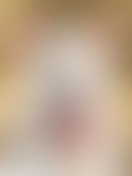 Lacy - Adoption Pending!