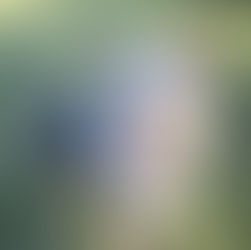 Scooter - Adoption Pending!