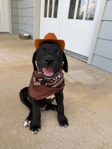 Woody