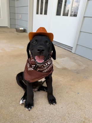 Woody