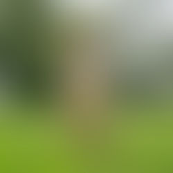 Photographer Wendy Jo O'Barr