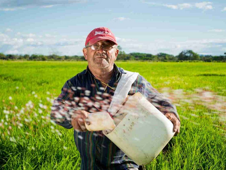 Día Mundial de la Alimentación: Transformar la agricultura para producir más con menos