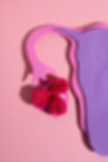 reproductive-system-pink-background.jpg