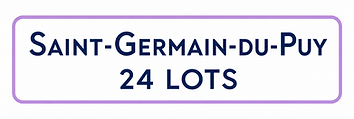 st germain du puy.png
