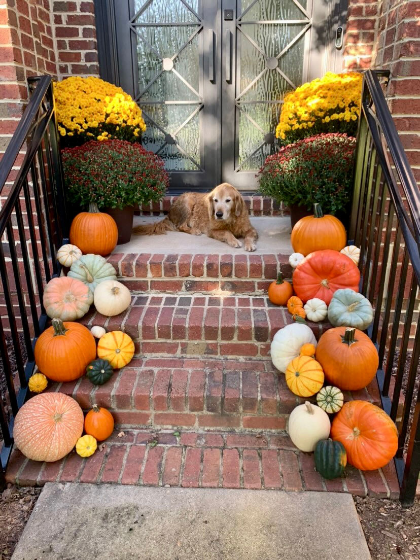 Thumbnail: Package 1