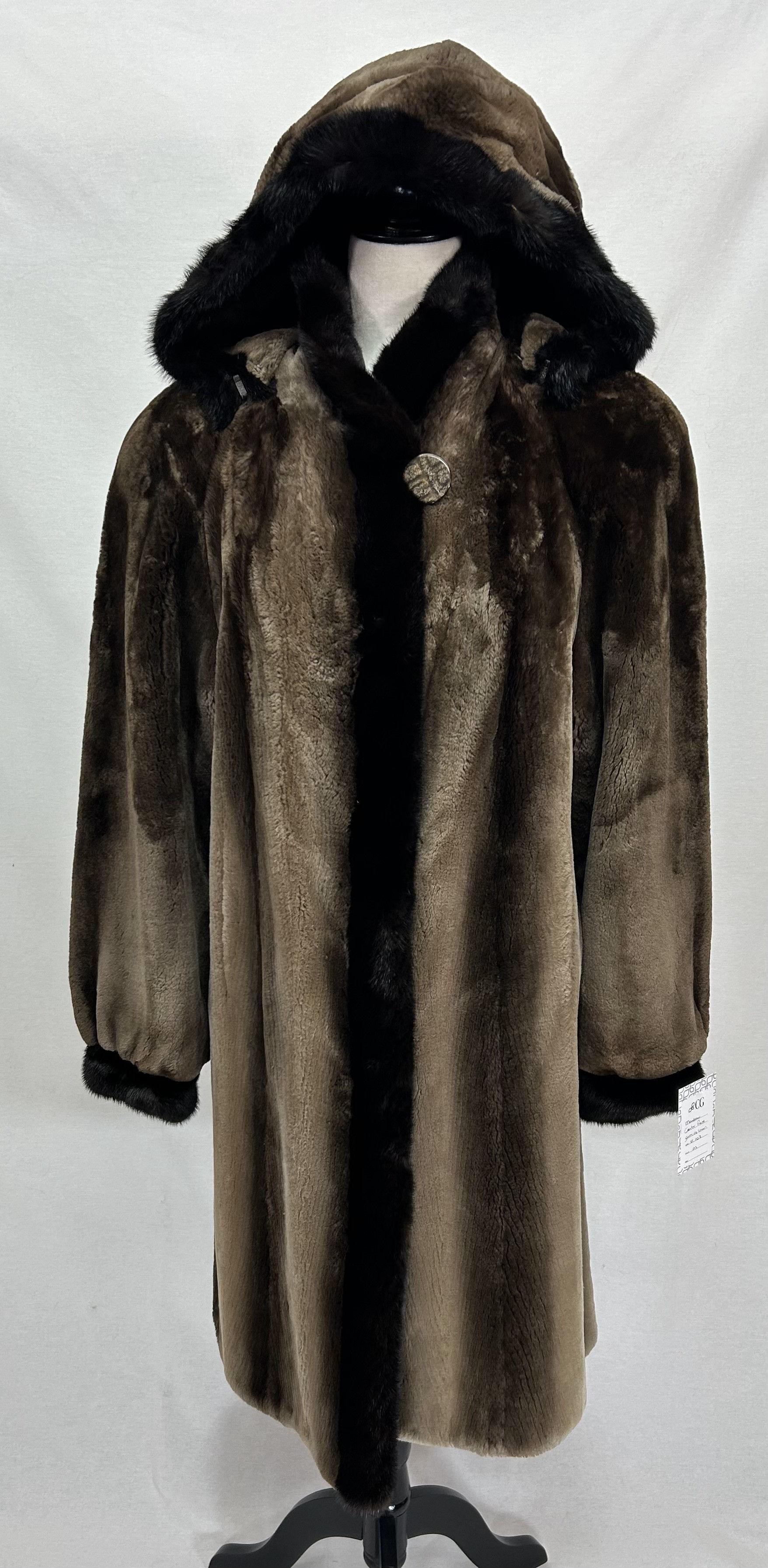 Manteau Castor rasé