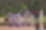 JC5_2306-Edit.jpg