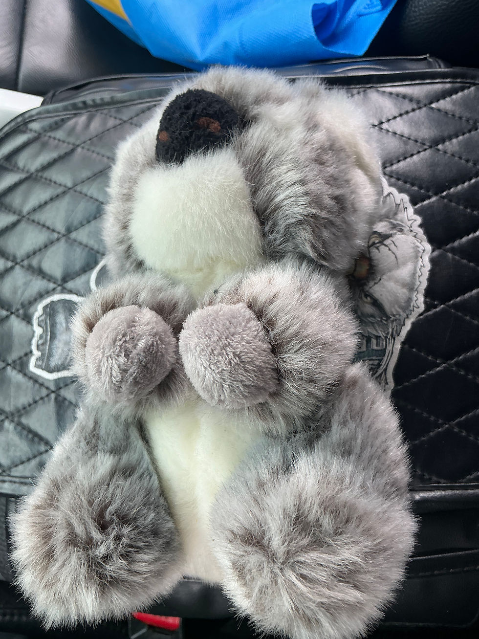 Thumbnail: Tiny Plush Koala – $1 Each