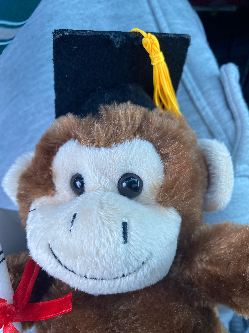 Thumbnail: Graduation plush monkey