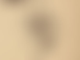 White Stones "Memoria Viva" (Reigning Phoenix Music)