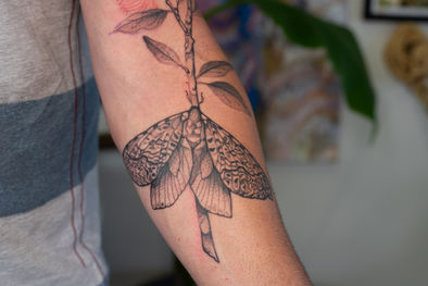 Fine line botanical tattoo by Nadadora Tattoo in Nelson NZ
