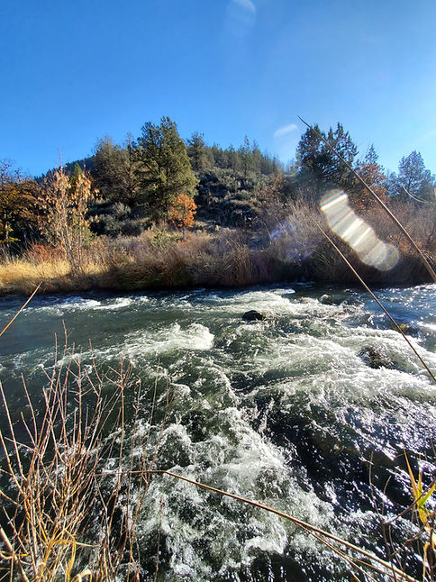 20201202_103425.jpg