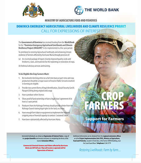 Image of an online ad for the World Bank funded Dominica Emergency Agricultural Livelihoods and Climate Resilience Project
