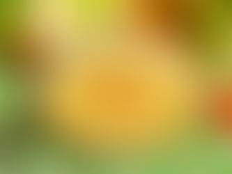 Soupe de chou-fleur et carotte