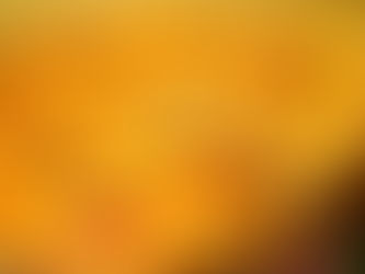 Quiche au poulet et au jambon