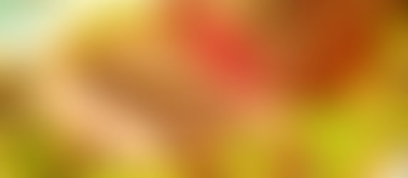 Rôti de boeuf au four avec petits pois et champignons