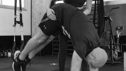 פייק trx