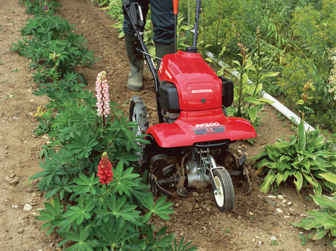 Honda FF300 in use tilling between planting rows.