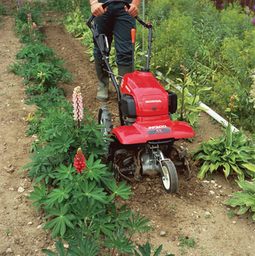 Honda FF300 in use tilling between planting rows.