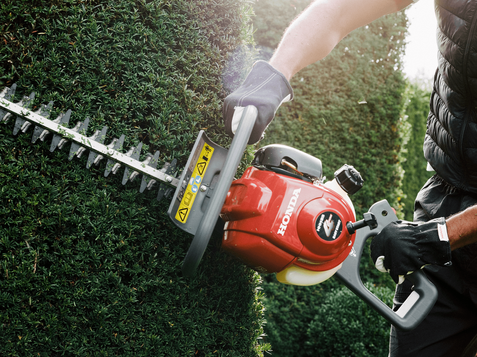 Honda hedge cutter cutting a conifer hedge side