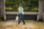 Thumbnail: STIHL BG-KM KombiBlower clearing leaves from driveway