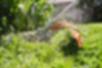 Thumbnail: STIHL FS-KM Brushcutter Kombitool